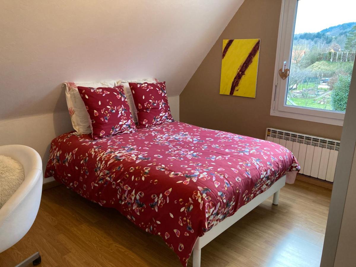 Chez Dina Apartment Lutzelhouse Екстериор снимка